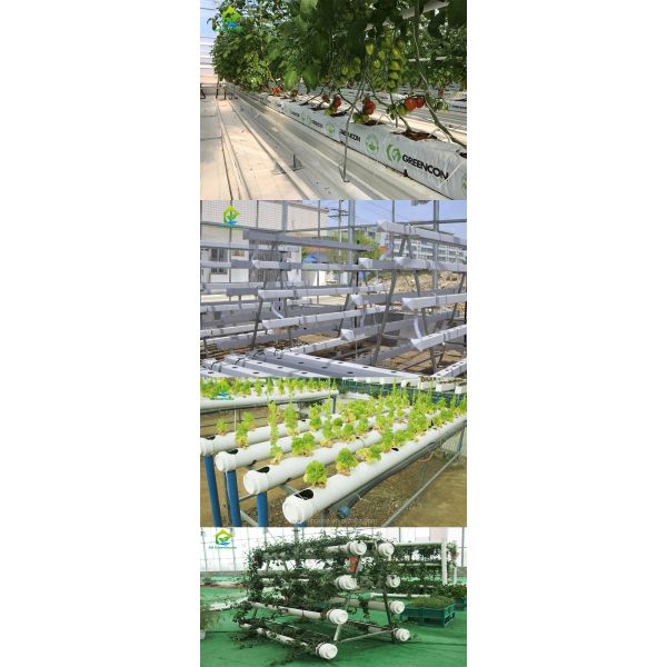Nontoxic PVC Soilless Culture System Vertical Hydroponic Growing Irrigation Equipment