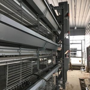 ISO9001 HI HOPE Layer Poultry Farming Equipment Nipple Drinking