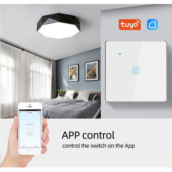 Tuya Wifi Smart Timer Switch Manufacturer Eu Standard 2 gang Led Sensor Light Voice Control Touch
