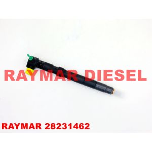28231462 Delphi Common Rail Fuel Injector For Volkswagen