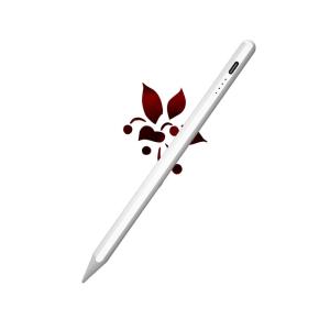 IPad 2/3/4/5/Air/Mini/Pro Touchscreen Stylus Pen With Micro USB Charging Port