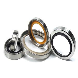 China Skeleton Air Compressor Oil Seal Dust Seal Ring wholesale