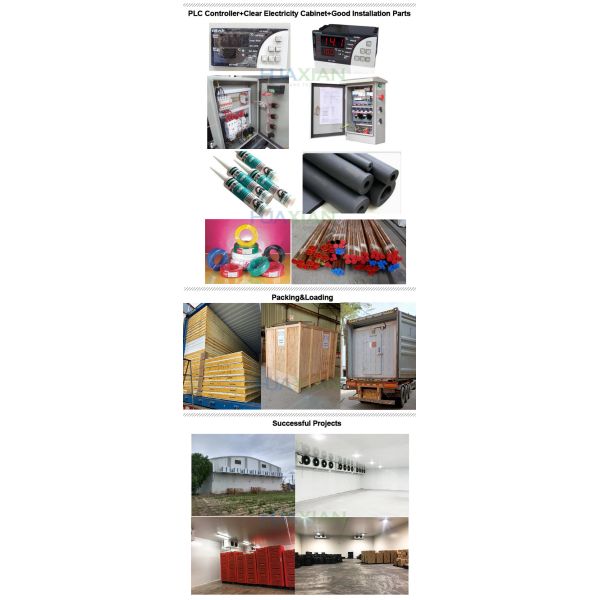 China Poultry Factory Refrigerated Copeland Cold Storage Room for Sale