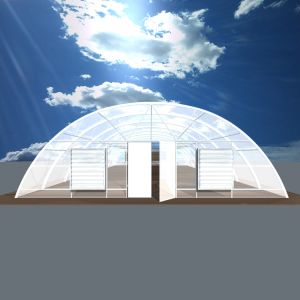 Customize Agricultural Greenhouse Poly Film Greenhouse For vegetable growing