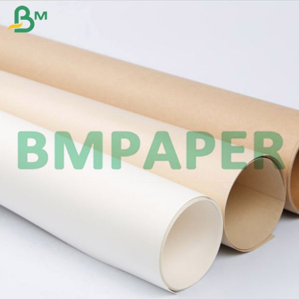 215g 230g PE Coated Food Grade  Noodle Bowl Cup Stock Paper Board In Jumbo Roll (5)