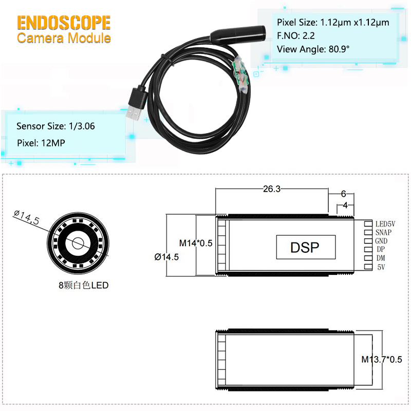 Auto Focus Endoscope Camera Module