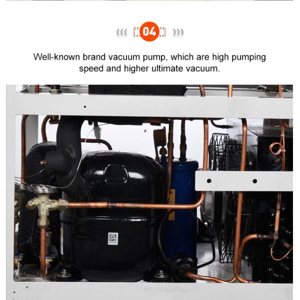 Air Cooling Vacuum Freeze Dryer Laboratory 4kg/24h 50Hz