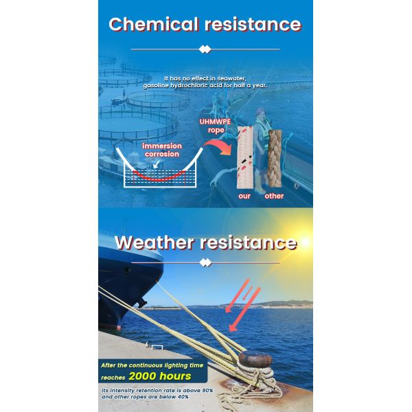 12 Strand UHMWPE Marine Rope Buoyant Low Stretch Mooring Line with 12-Strand Structure for High Strength