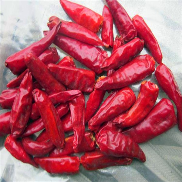 Zero Additive Tianjin Red Chilies Stick Shape Pungent Red Dried Chiles