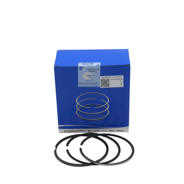 6738-31-2031 6BT 6D102 Diesel Engine Piston Ring For Komatsu Excavator