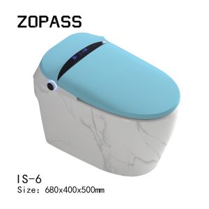 One Piece Siphonic Smart Bathroom Toilet Mix Pit Spacing 300mm