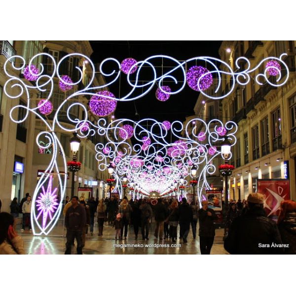LED Christmas Motif Lights/street decoration light