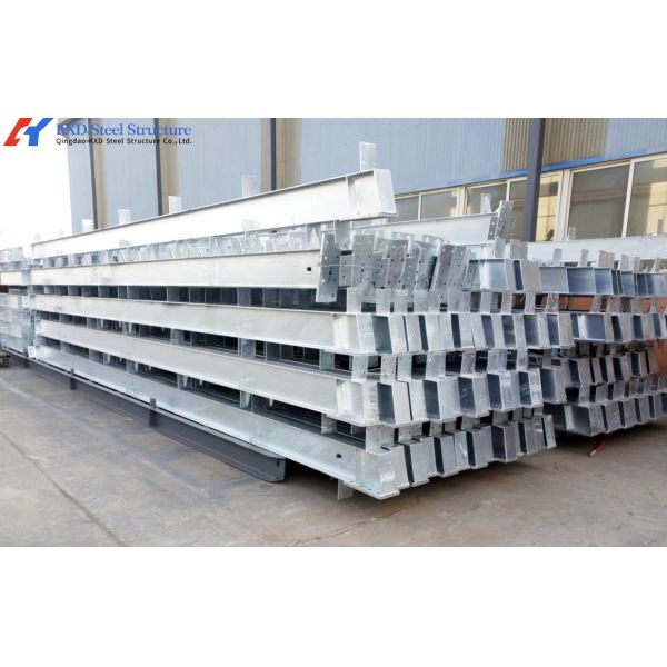 Automatic Broiler Chicken Farming Equipment H Type Chicken Steel Cage