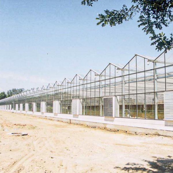 Advanced Glass Greenhouse For Optimal Light Transmission And Heat Preservation