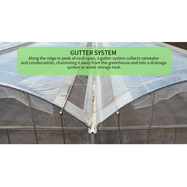 Multi-Span Agricultural Greenhouse 6m-12m Width with 150/200micron PE Film