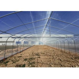 Commercial Plastic Film Greenhouse Hydroponic Hot Dipped Galvanized Steel