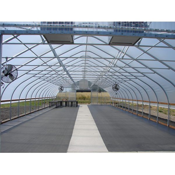 Galvanized Steel Frame PE Film Greenhouse 3.2m High Tunnel Greenhouse