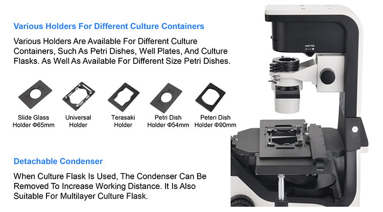 OPTO EDU A14.1065 Tilting Inverted Phase Contrast Microscope