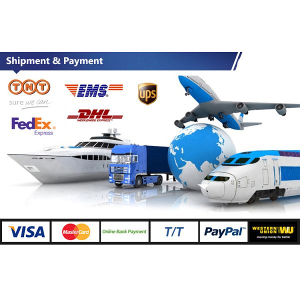 OEM/ODM Hex Head Bolts with Galvanized/HDG/Black/Blue Zinc Plated Finish and M8 M10 M12 Threads