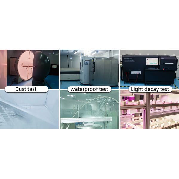 OEM 320w LED Toplighting Grow Light All Year Round Medical Plant Growing Lights