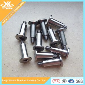 China Customized Titanium Hex Socket Flat Head Screws wholesale