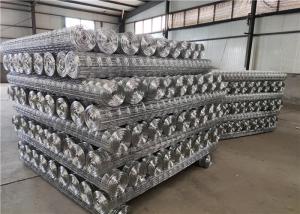 China 2m Width Hot Dipped Galvanized 1x1 Welded Wire Mesh wholesale