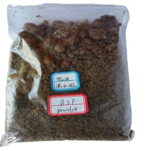 China Chinese Origin Brown Black Soldier Fly Powder and Brown wholesale
