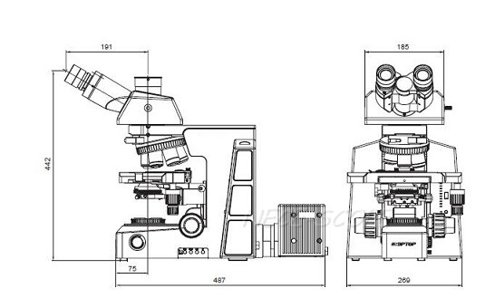 Objective Lenses Laboratory Biological Microscope , Confocal Laser Scanning Microscopy