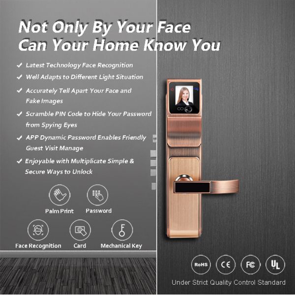 Smart 3D Infrared Face Recognition Door Handle Lock For Family and Company
