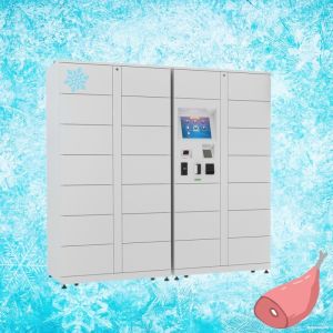 Winnsen Refrigerated Smart Food Locker Fruit Customized