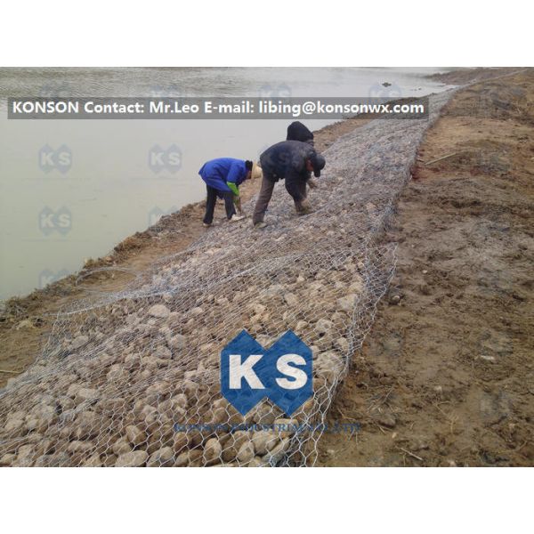 80X100 3.2mm Pvc Coated Zinc Electro Galvanised Hexagonal Netting