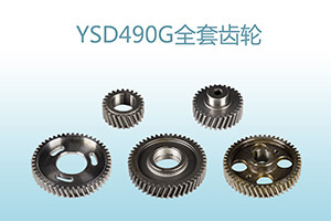 Custom CW2 40Cr Diesel Engine Timing Gears Set 50cm Dia Multi Cylinder Machine