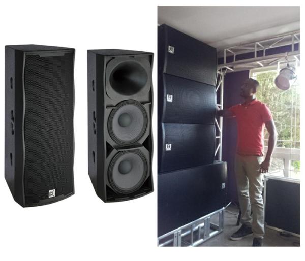 Quality 2 Way 1000w Full Range Speaker Box for sale