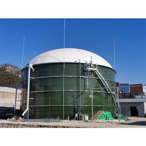 Biogas Wastewater Anaerobic Reactor With Batch / Continuous Design