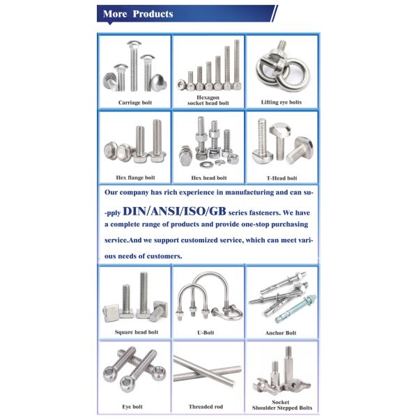 Stainless Steel M3 M4 M5 M6 M8 Cross Recessed Phillips Mushroom Umbrella Truss Head Screws