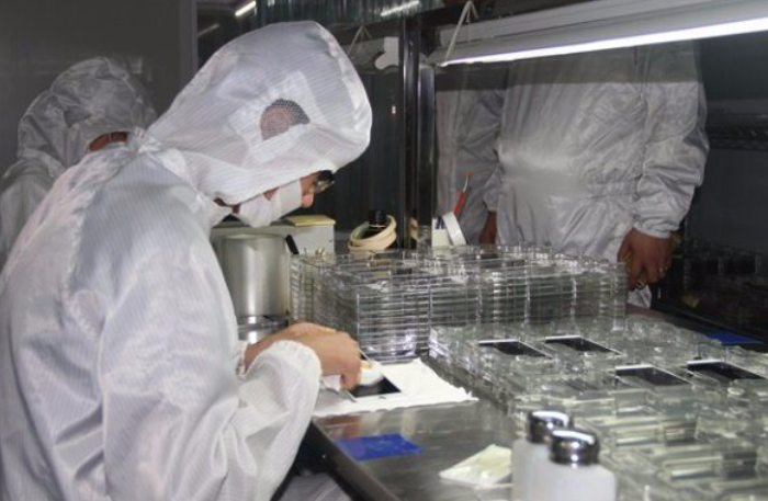 OEM Refurbished Mobile Phone LCD Screen For IPhone 6 / 6p / 6s / 6s