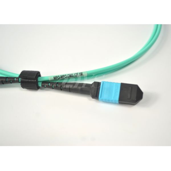 24 Core OM3 MPO TO MTP Connector Patch Cord / MTP Optical Connector