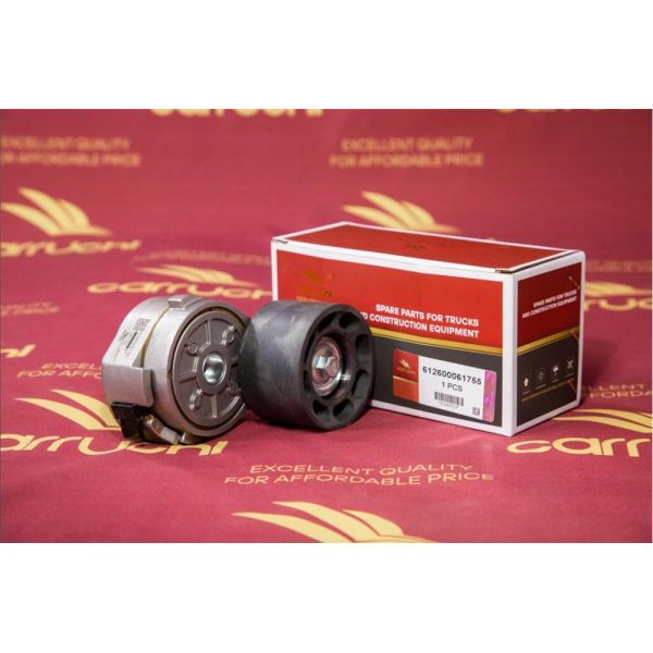 612600061755 612600061290 4110000001352 shacman weichai WP10 wp 12 engine lgmg