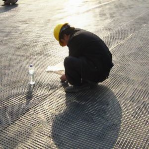 High Tensile Basalt Fiber Mesh Geogrid The Ultimate Choice for Highway