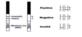 FSH Home Fertility Testing Kits Easy Operation , Reliable Pregnancy Test Kit FDA