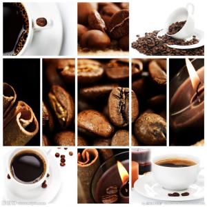 China customs clearance service that export Kenya coffee bean to mainland of china wholesale