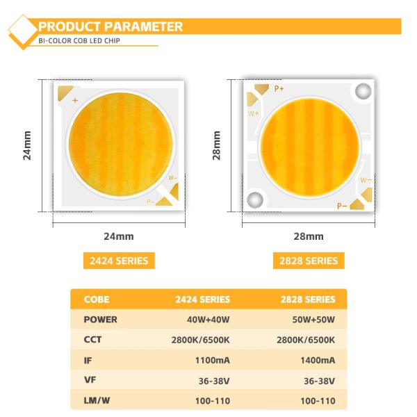 Customised Aluminum Material COB Chip 2424 in White Blue Red & Green High Brightness China Factory