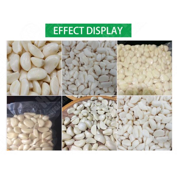 Nitrogen injected peeled garlic production line / garlic peeling line machine price