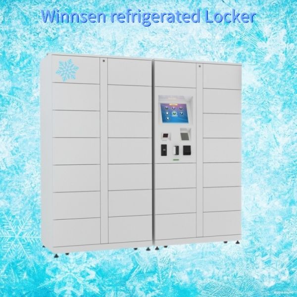 Winnsen Refrigerated Smart Food Locker Fruit Customized