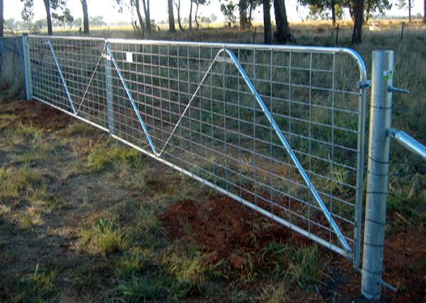 Quality Livestock Chain Link Fence Gate New Zealand High Tensile And Light Weight for sale
