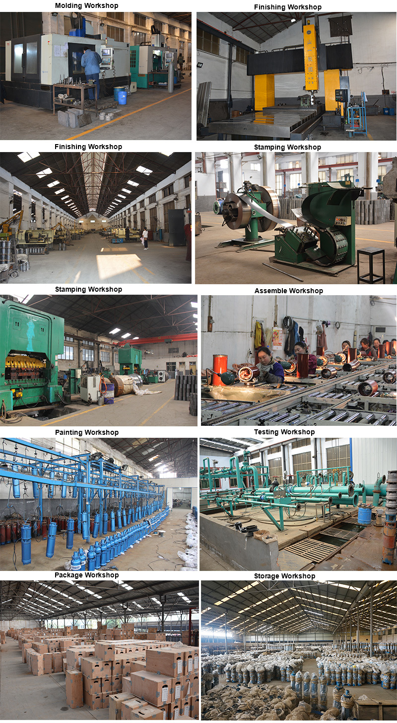 China Submersible Pump Water Pump Manufacturer Supports Customization