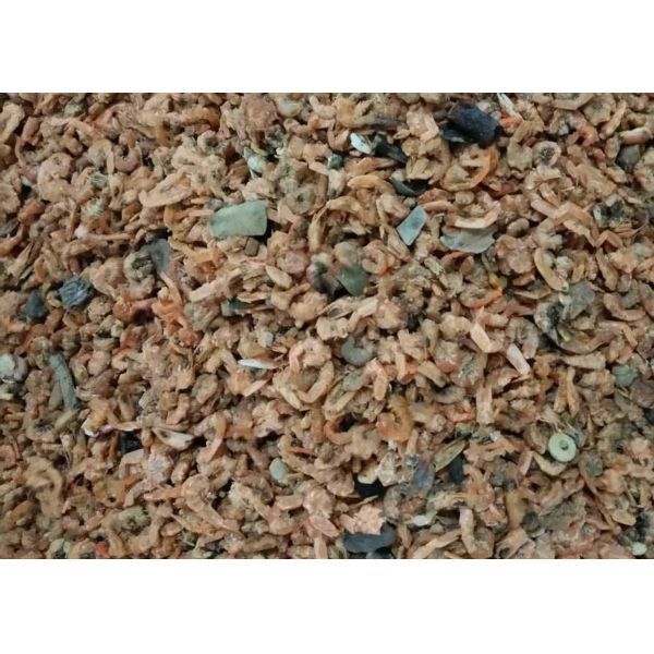 Shrimp Belt Tea Colour Sorter Machine Seafood Shrimp Separate Machine