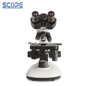 China 40X - 1000X Compound Optical Microscope / Binocular Biological Microscope wholesale