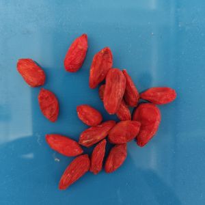 Wolfberry Sorting Machine with Advanced Imaging and Spectroscopy Technology