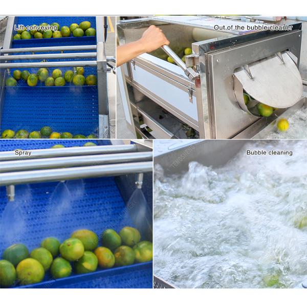 Citrus cleaning production line Fruit Orange Wash Washer Washing Cleaning Dryer processing production Machine